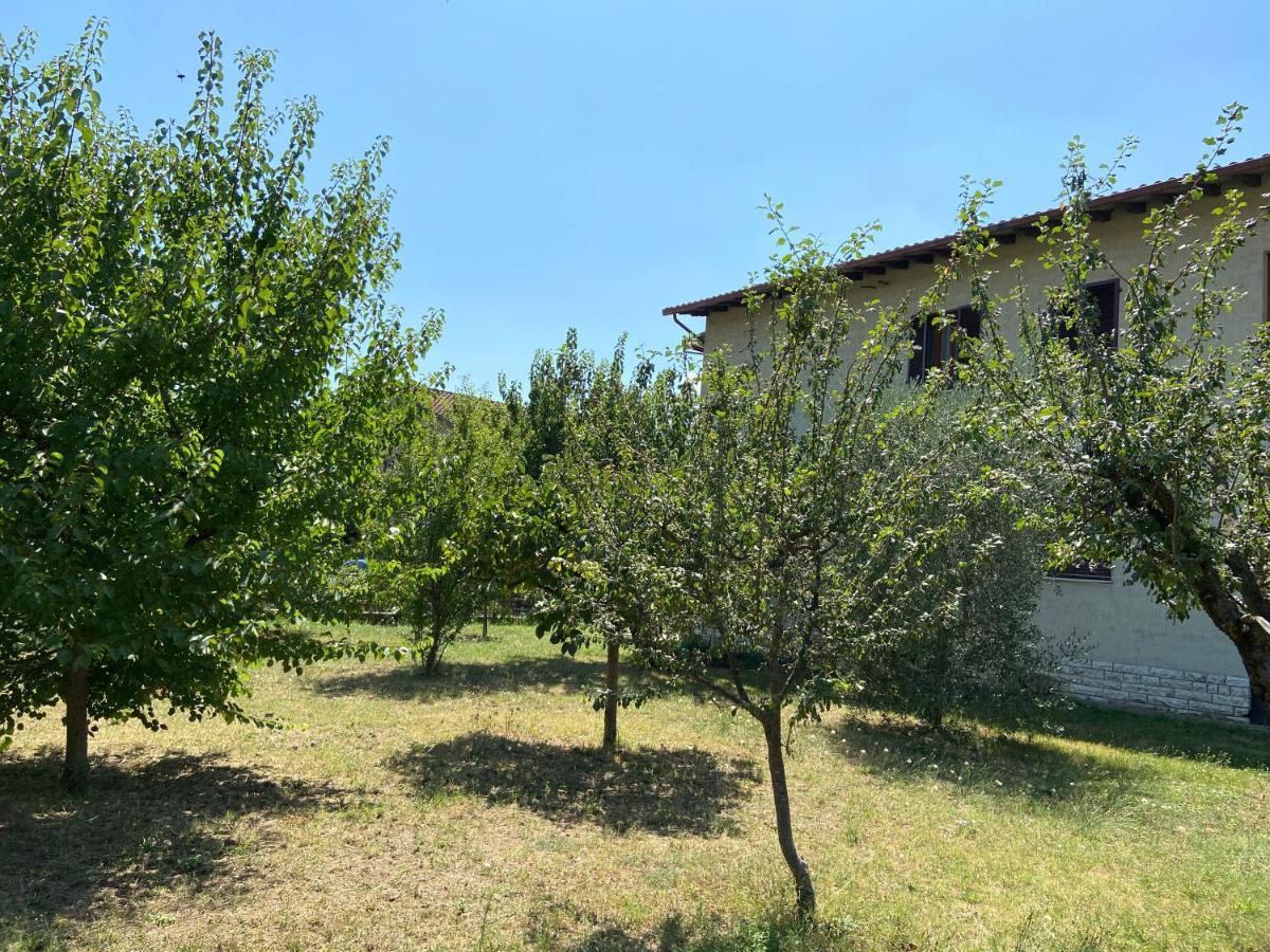 Вилла La Casa Sul Trasimeno Кастильоне-дель-Лаго Экстерьер фото